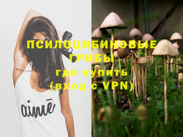 mdpv Бронницы